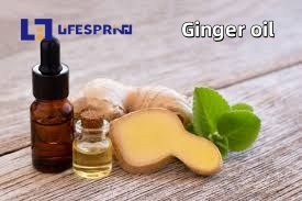 ZINGIBER OFFICINALE (GINGER)