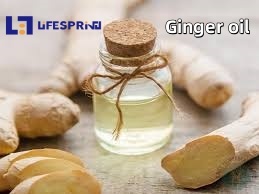 ZINGIBER OFFICINALE (GINGER)