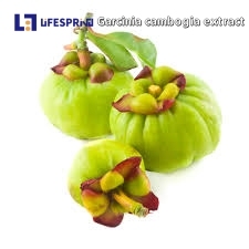 GARCINIA CAMBOGIA (VILAYATI IMLI)