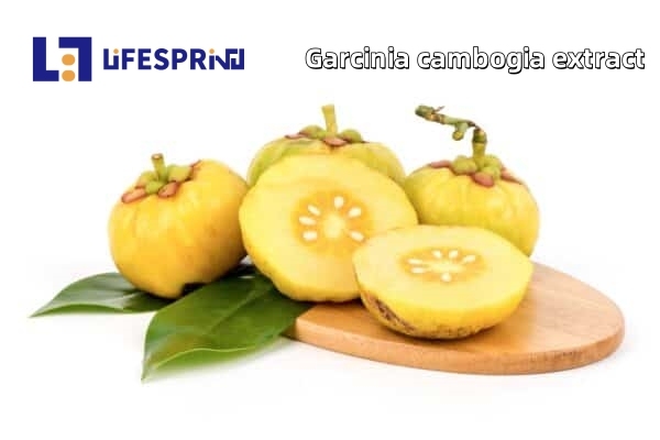 GARCINIA CAMBOGIA (VILAYATI IMLI)