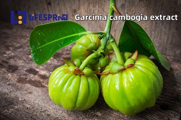 GARCINIA CAMBOGIA (VILAYATI IMLI)