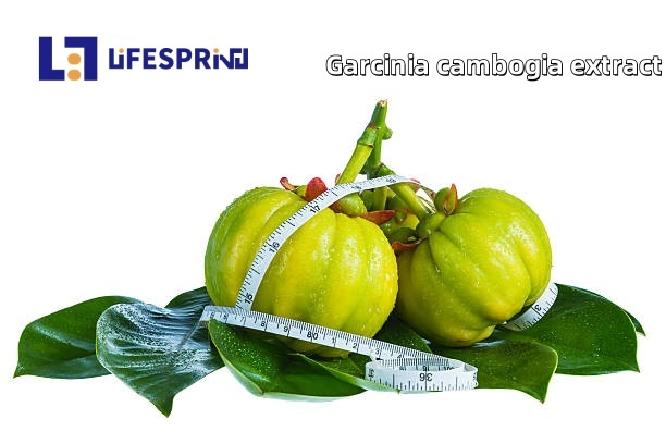 GARCINIA CAMBOGIA (VILAYATI IMLI)