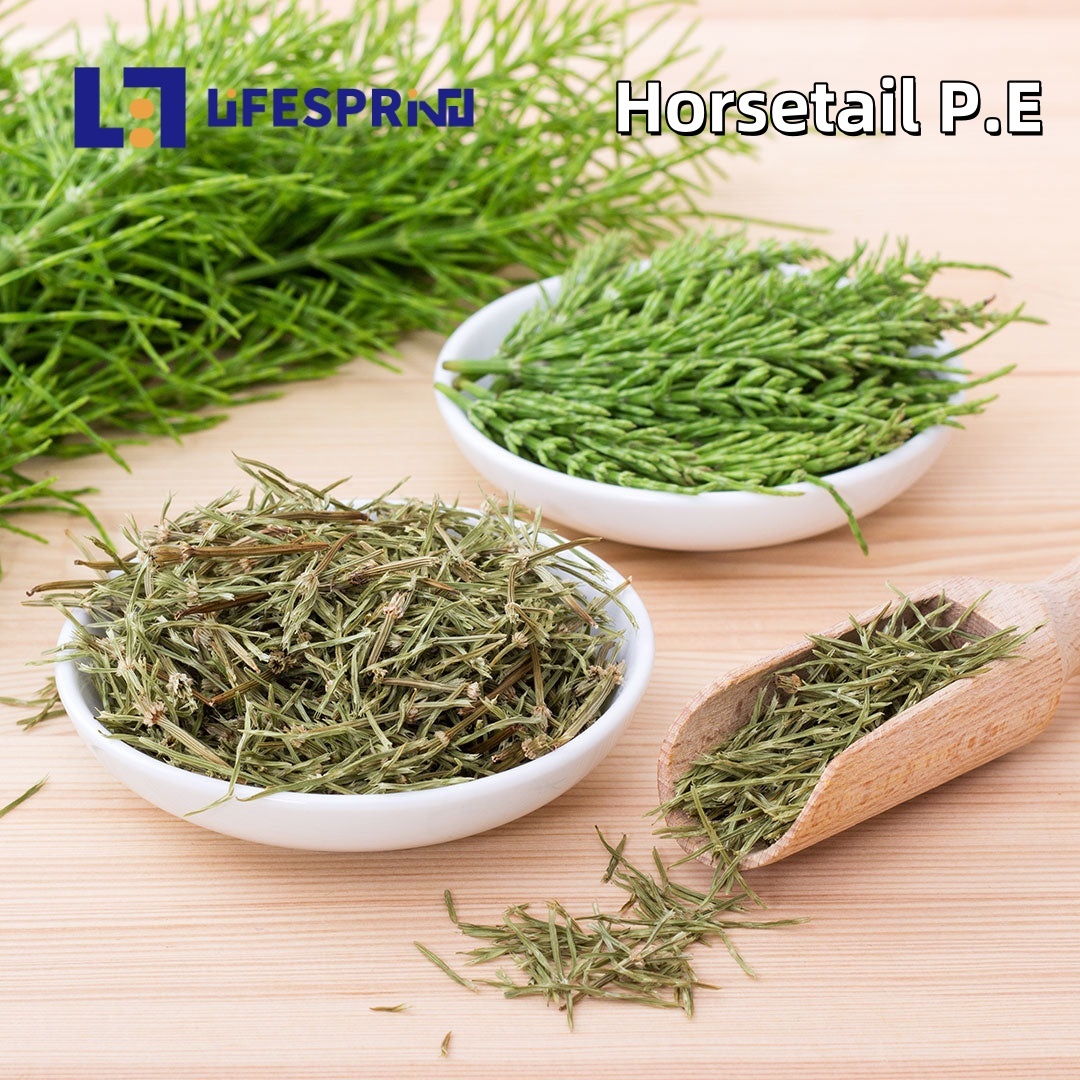 Horsetail Extract