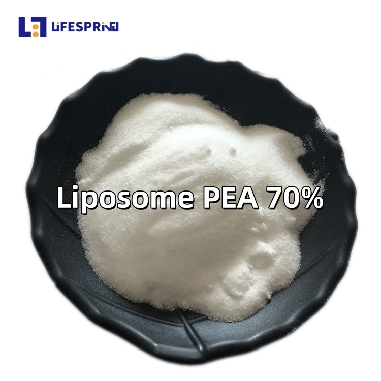 Liposome PEA 70% (Palmitoylethanolamide)