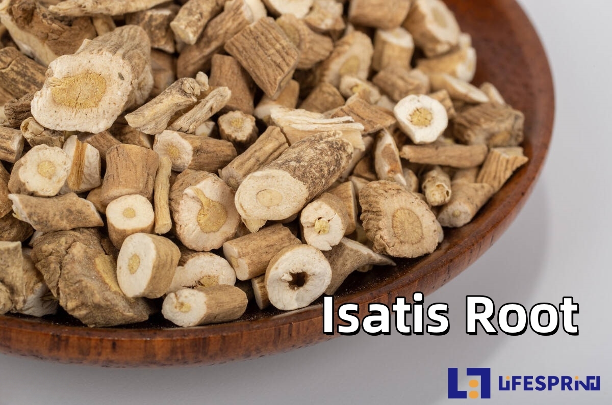 Isatis Root