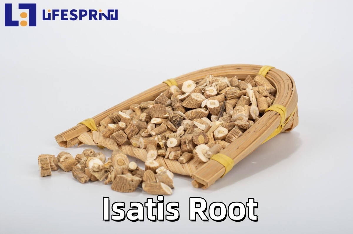 Isatis Root