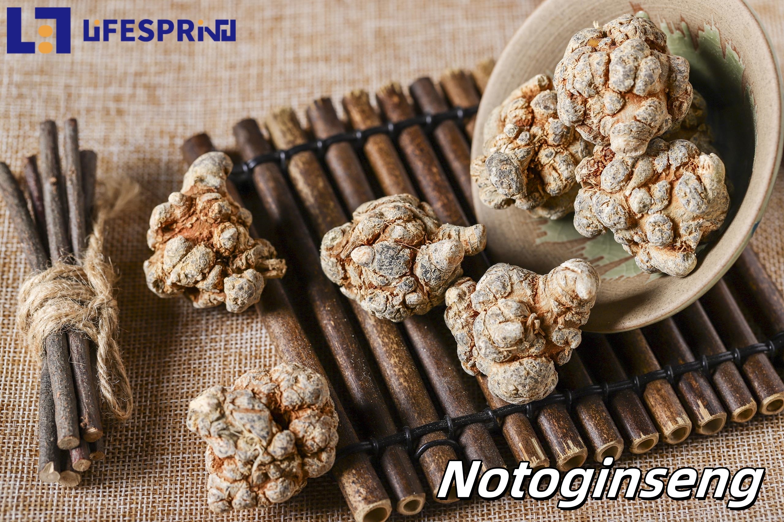 Notoginseng