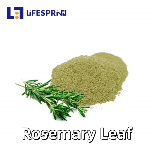 Rosemary Leaf
