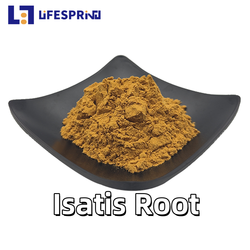 Isatis Root