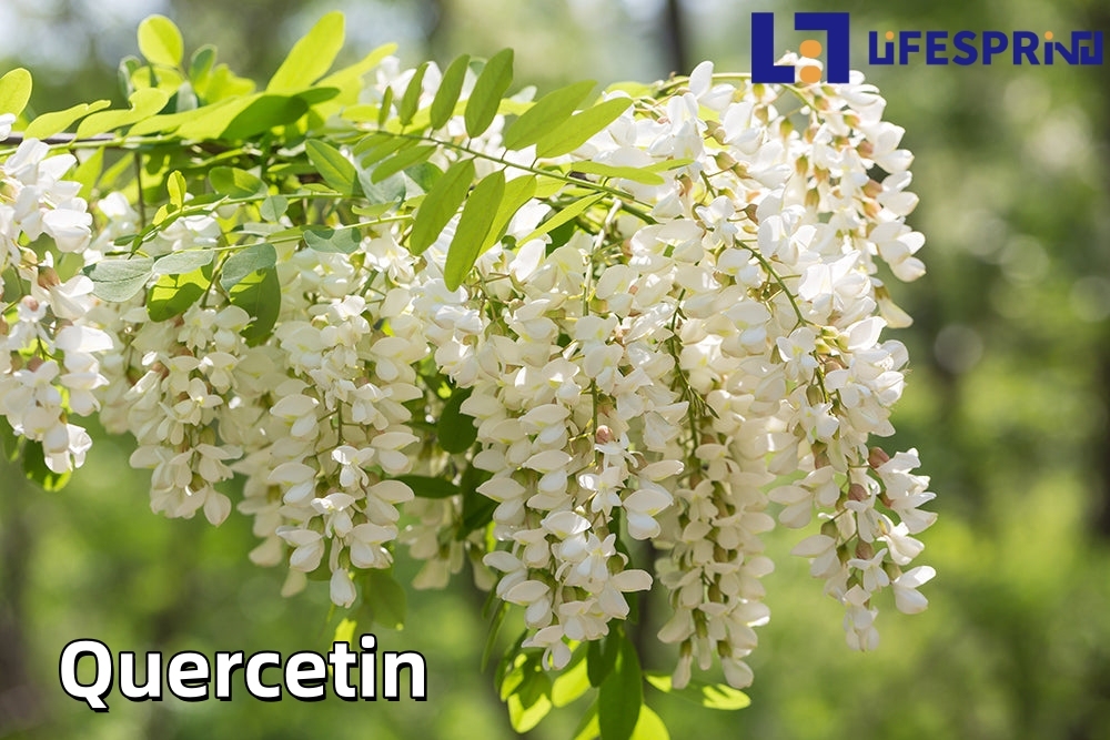 Quercetin