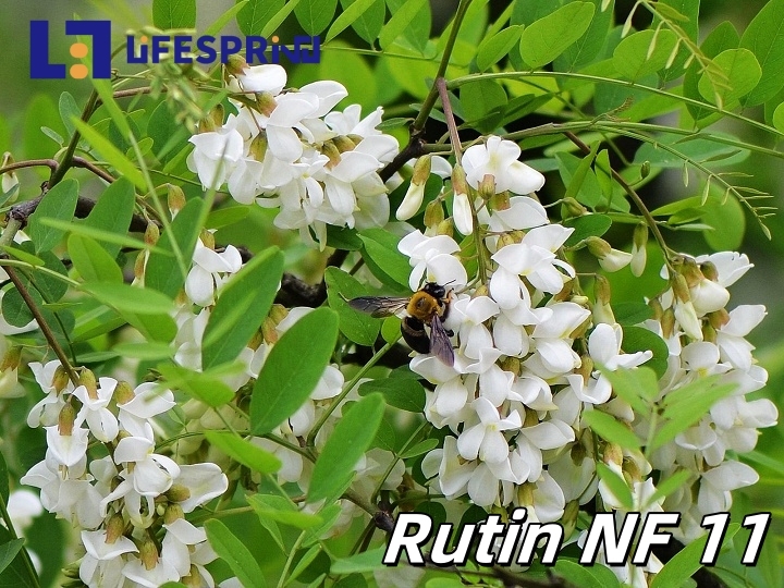 Rutin NF 11