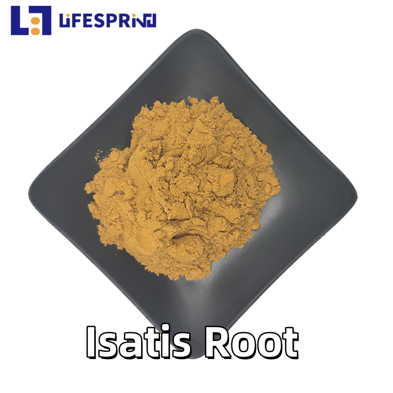 Isatis Root
