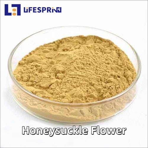 Honeysuckle Flower