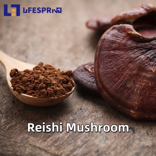 Reishi Mushroom