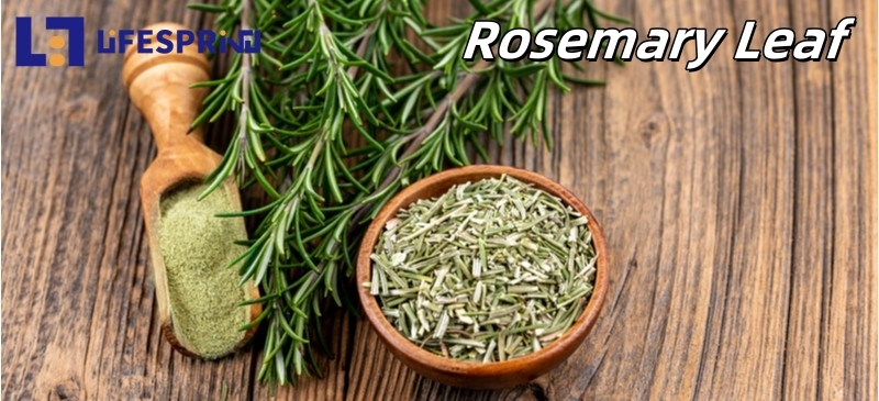 Rosemary Leaf