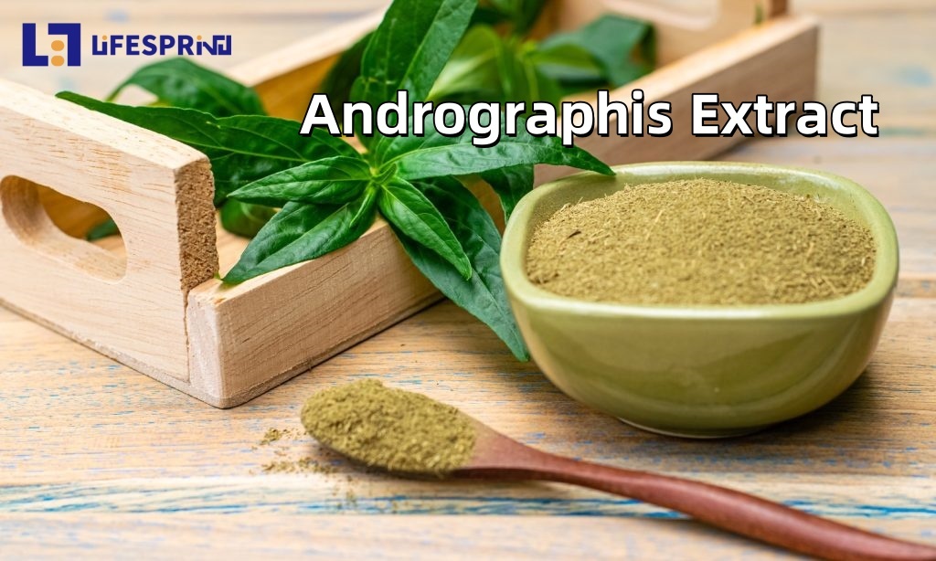 Andrographis Extract