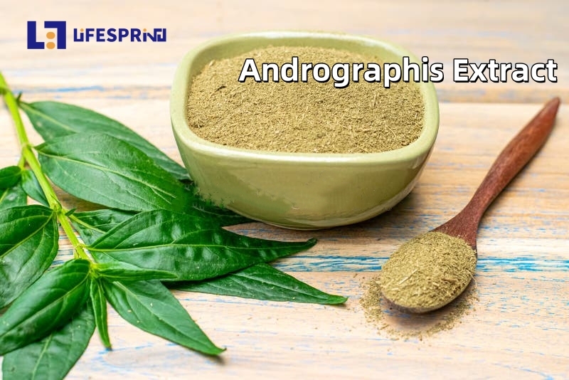 Andrographis Extract