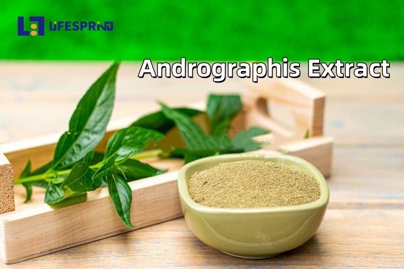 Andrographis Extract