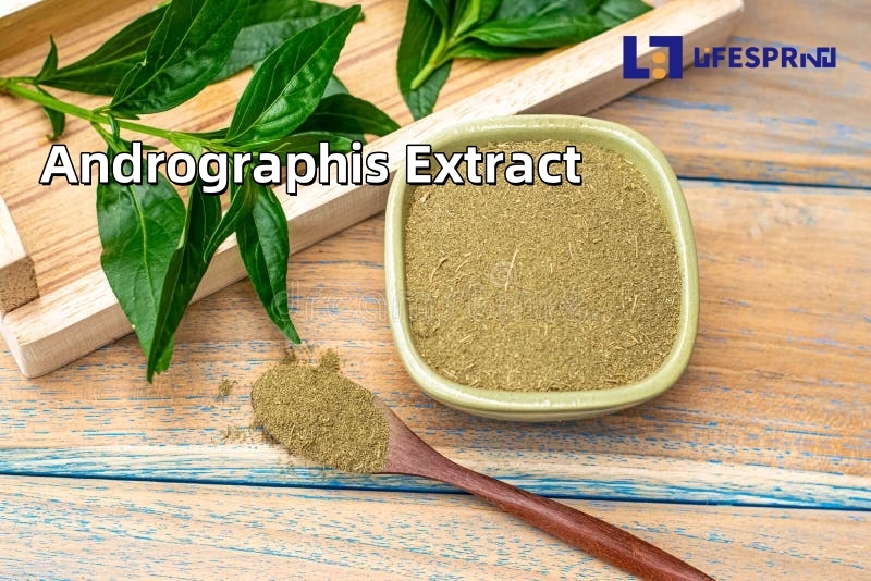 Andrographis Extract