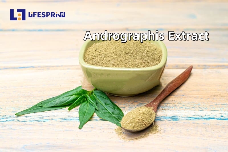 Andrographis Extract