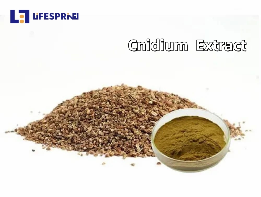 Cnidium Extract