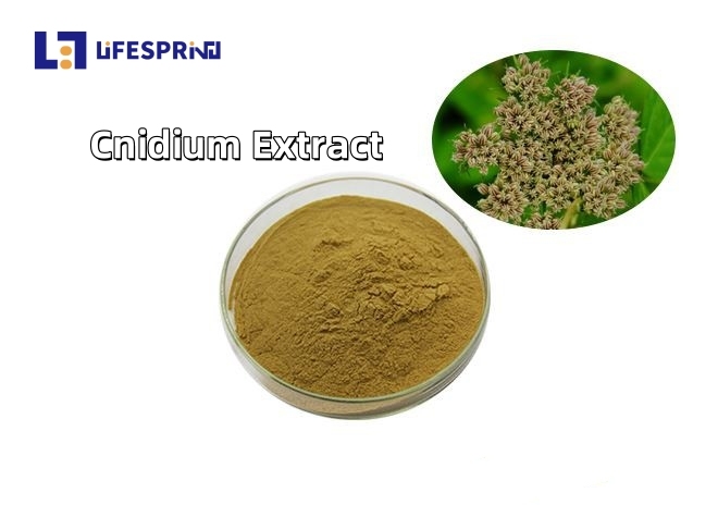 Cnidium Extract