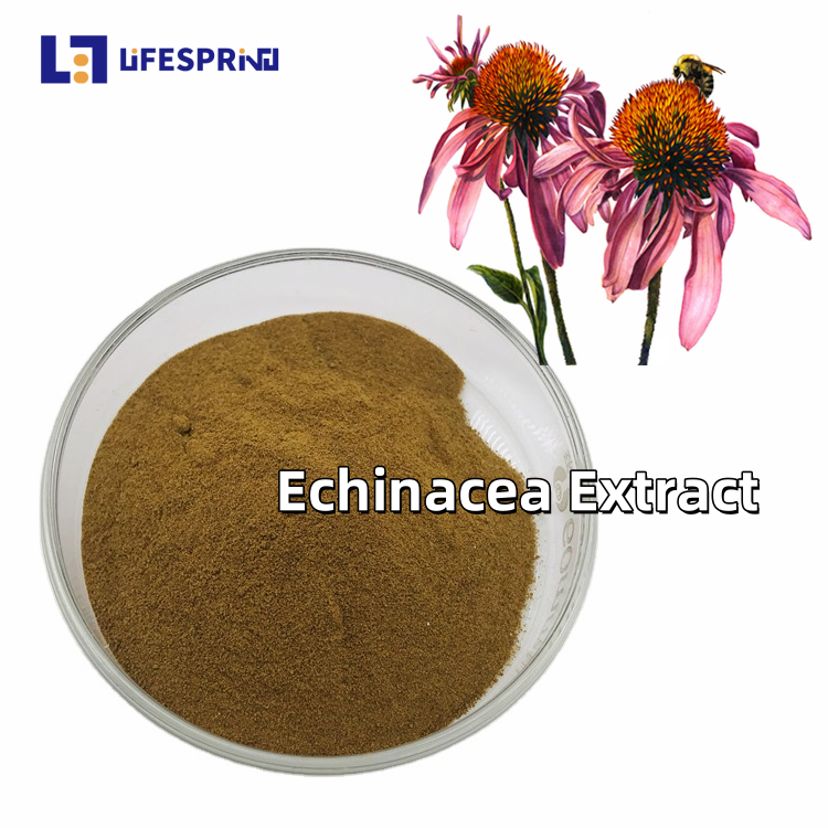 Echinacea Extract