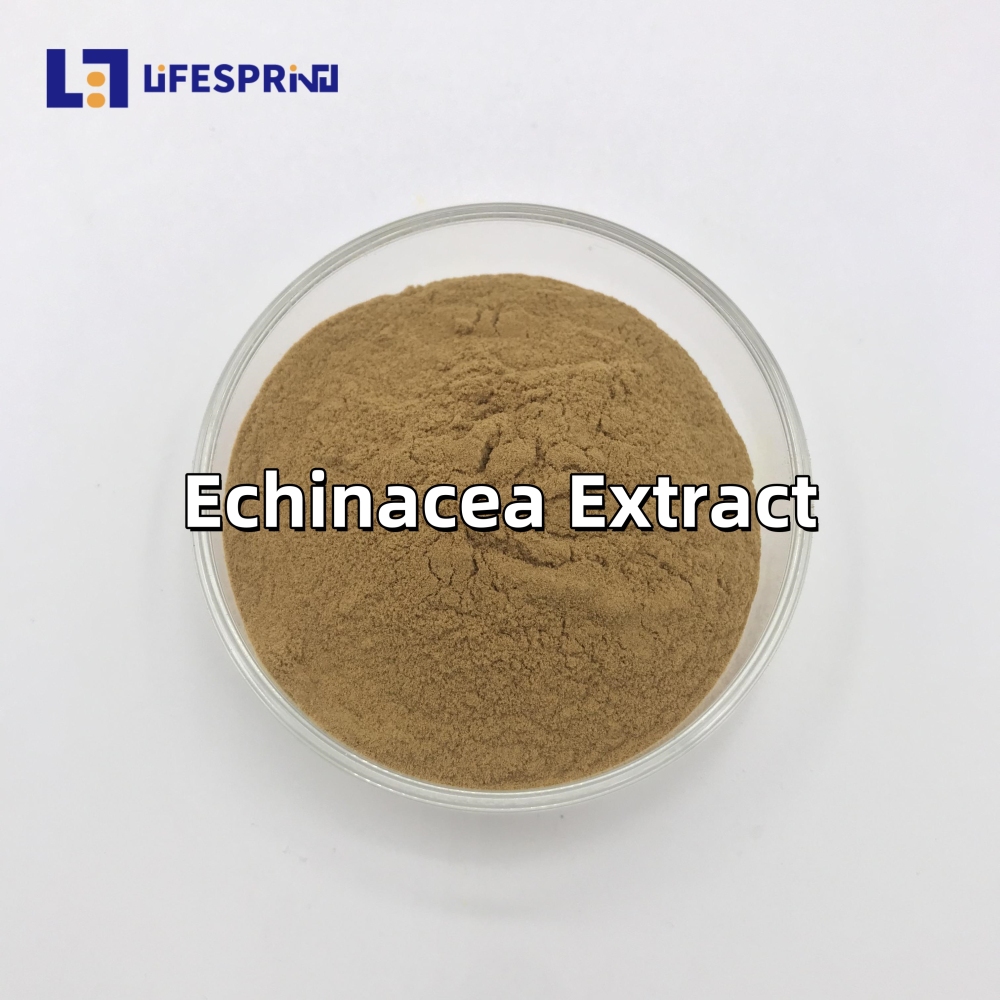 Echinacea Extract