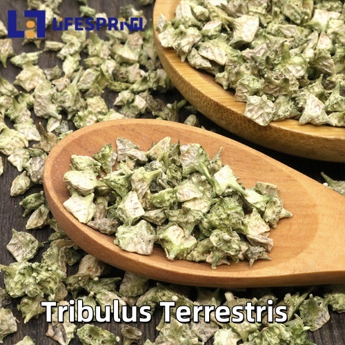 Tribulus Terrestris Extract