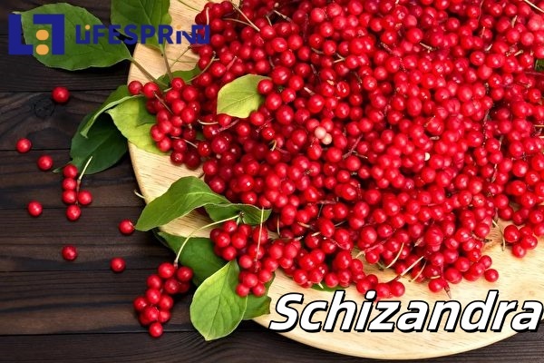 Schizandra Extract