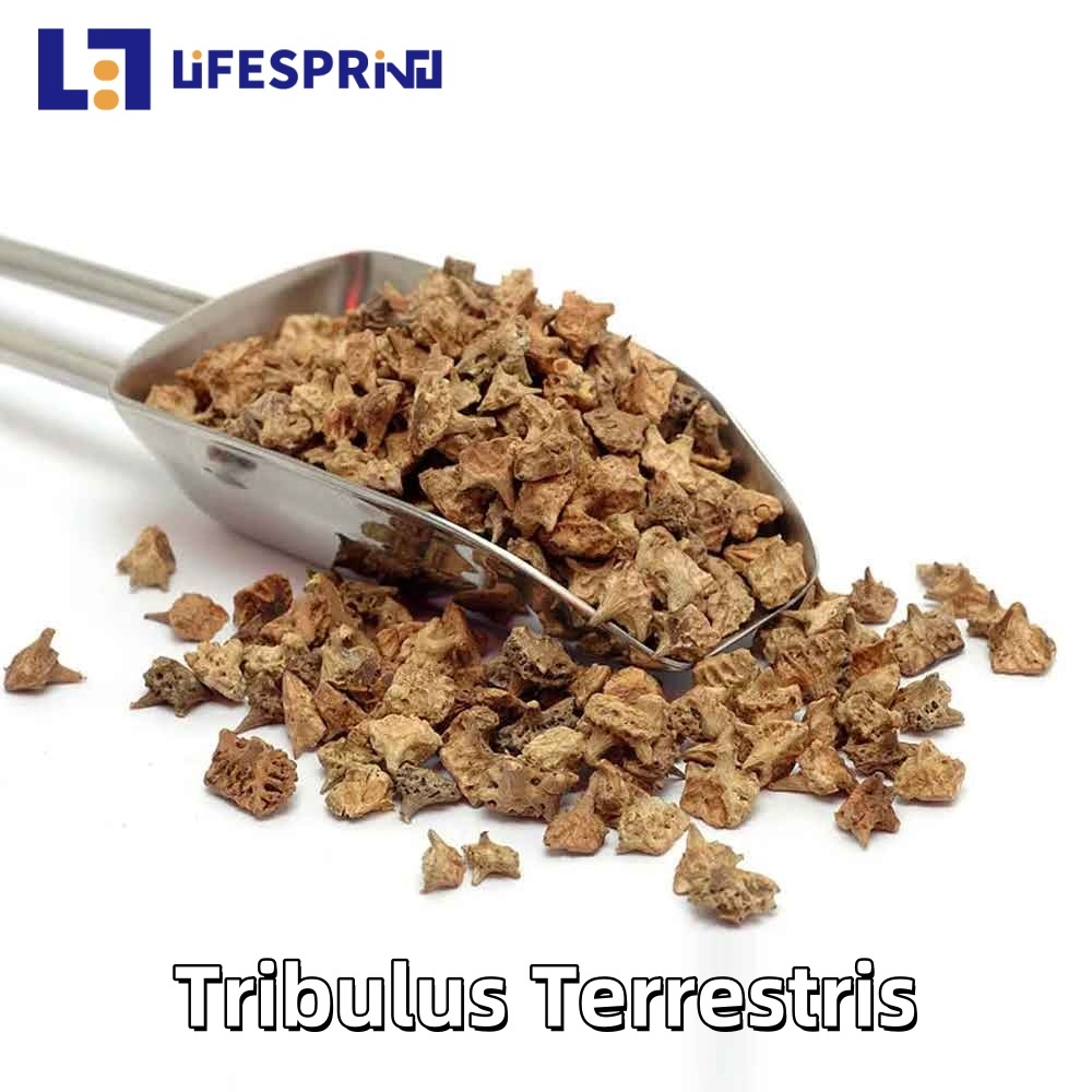 Tribulus Terrestris Extract