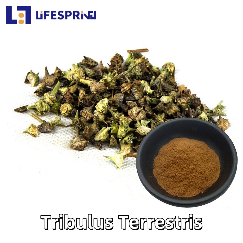 Tribulus Terrestris Extract