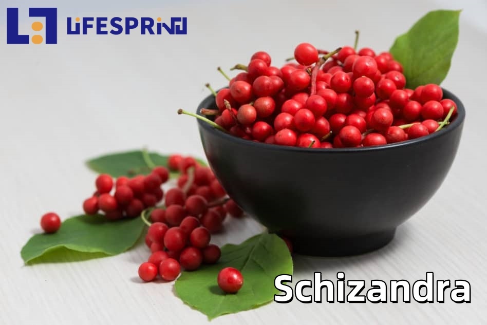 Schizandra Extract