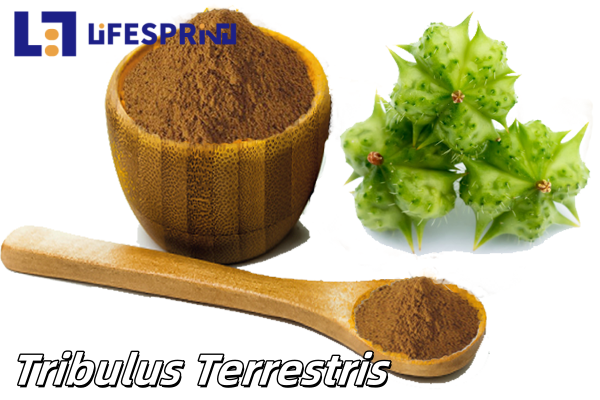 Tribulus Terrestris Extract