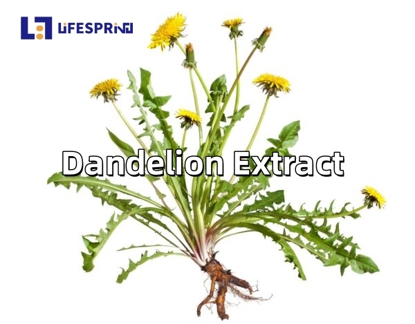 Dandelion Extract