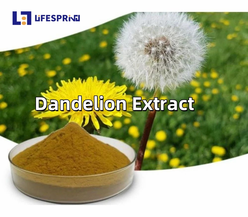 Dandelion Extract