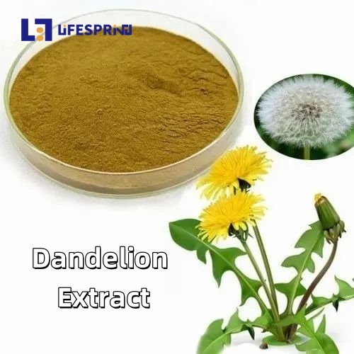 Dandelion Extract