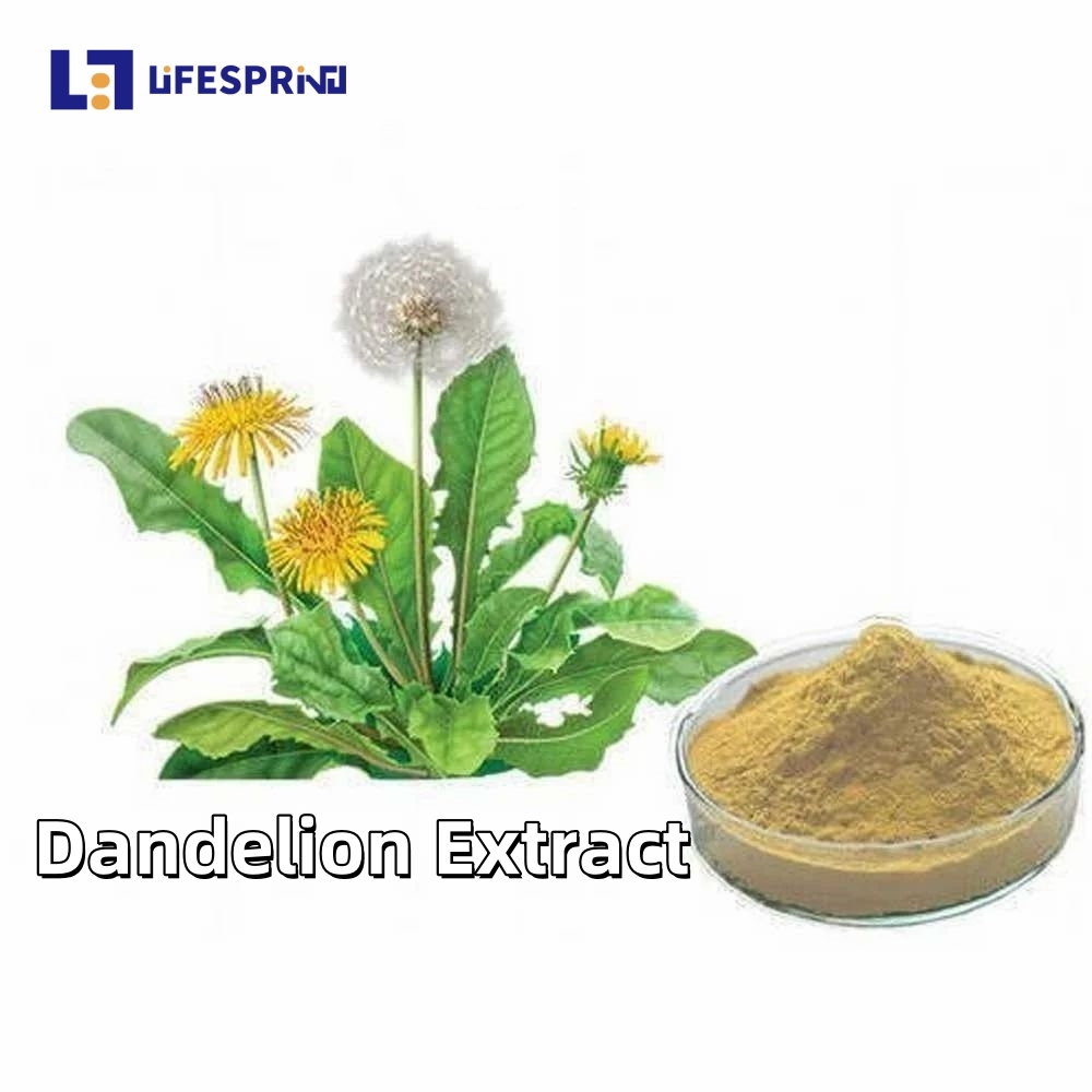 Dandelion Extract