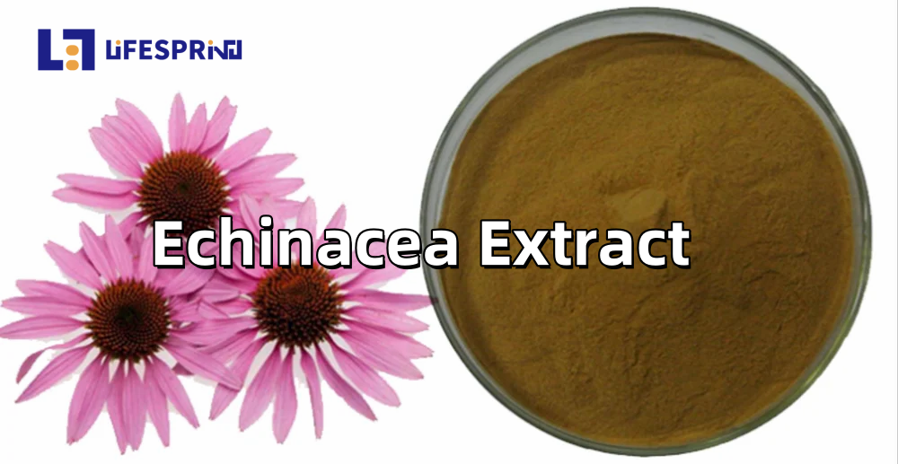 Echinacea Extract