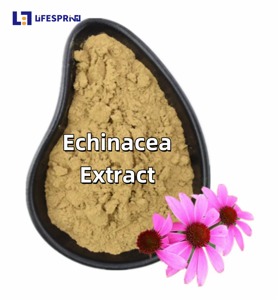 Echinacea Extract
