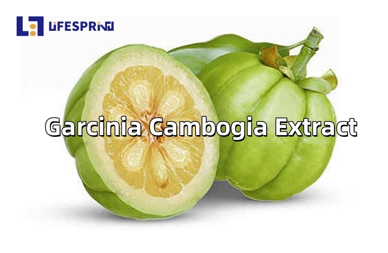Garcinia Cambogia Extract