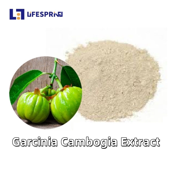 Garcinia Cambogia Extract