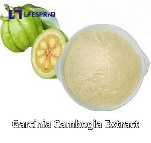 Garcinia Cambogia Extract