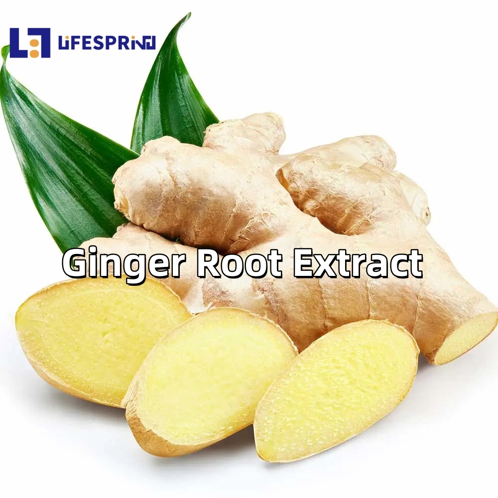 Ginger Root Extract