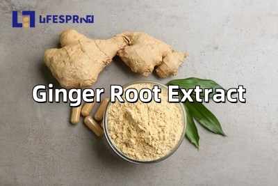 Ginger Root Extract