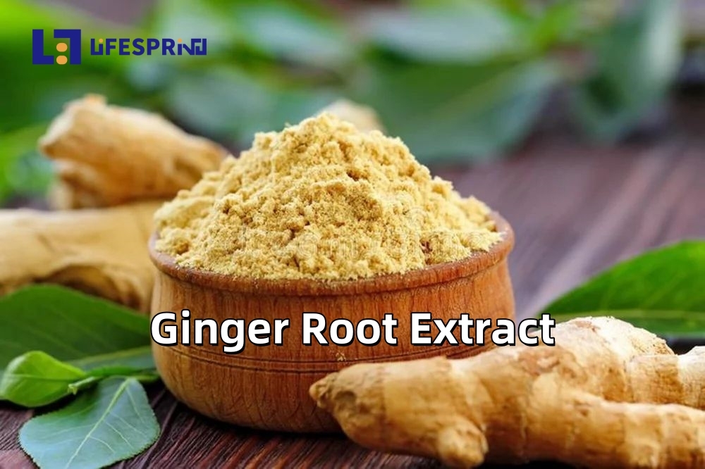 Ginger Root Extract
