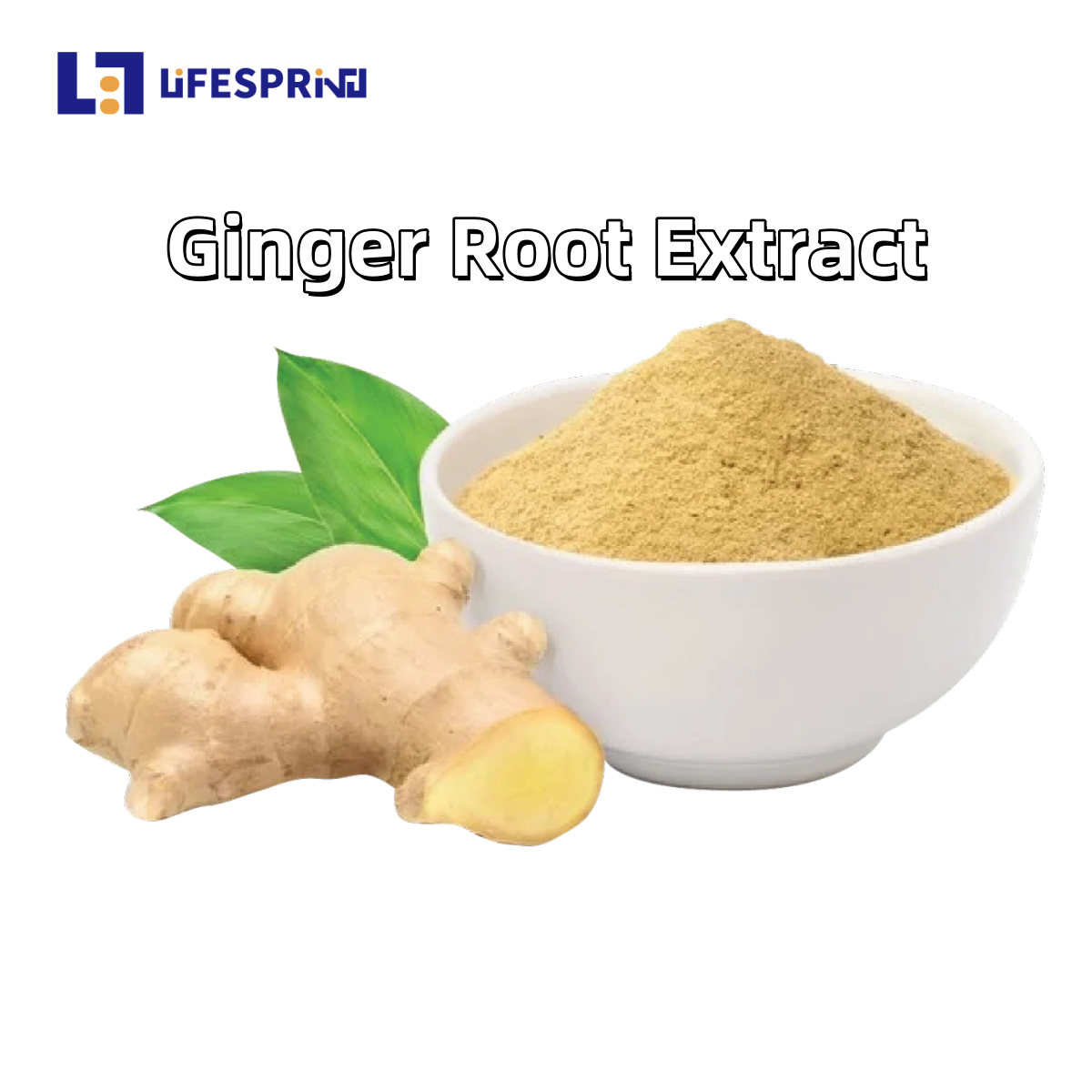 Ginger Root Extract