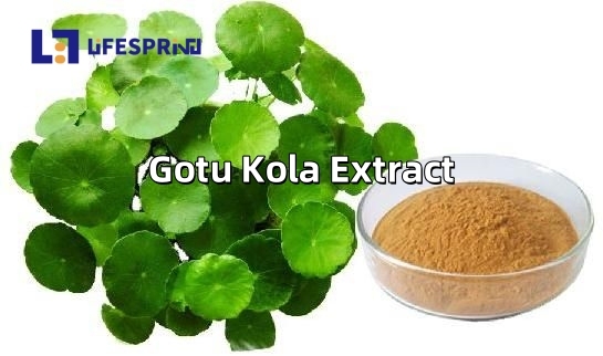 Gotu Kola Extract