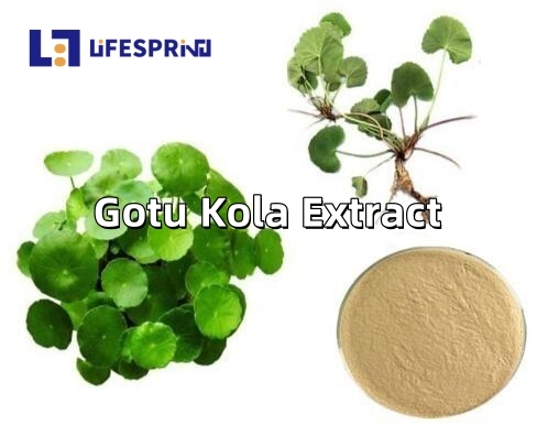 Gotu Kola Extract