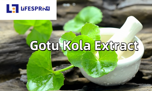 Gotu Kola Extract